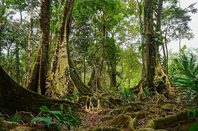 Los 10 lugares más espectaculares de Costa Rica