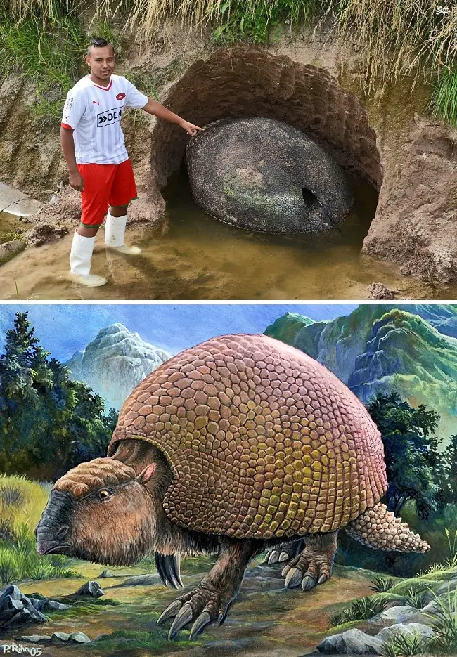 inesperados