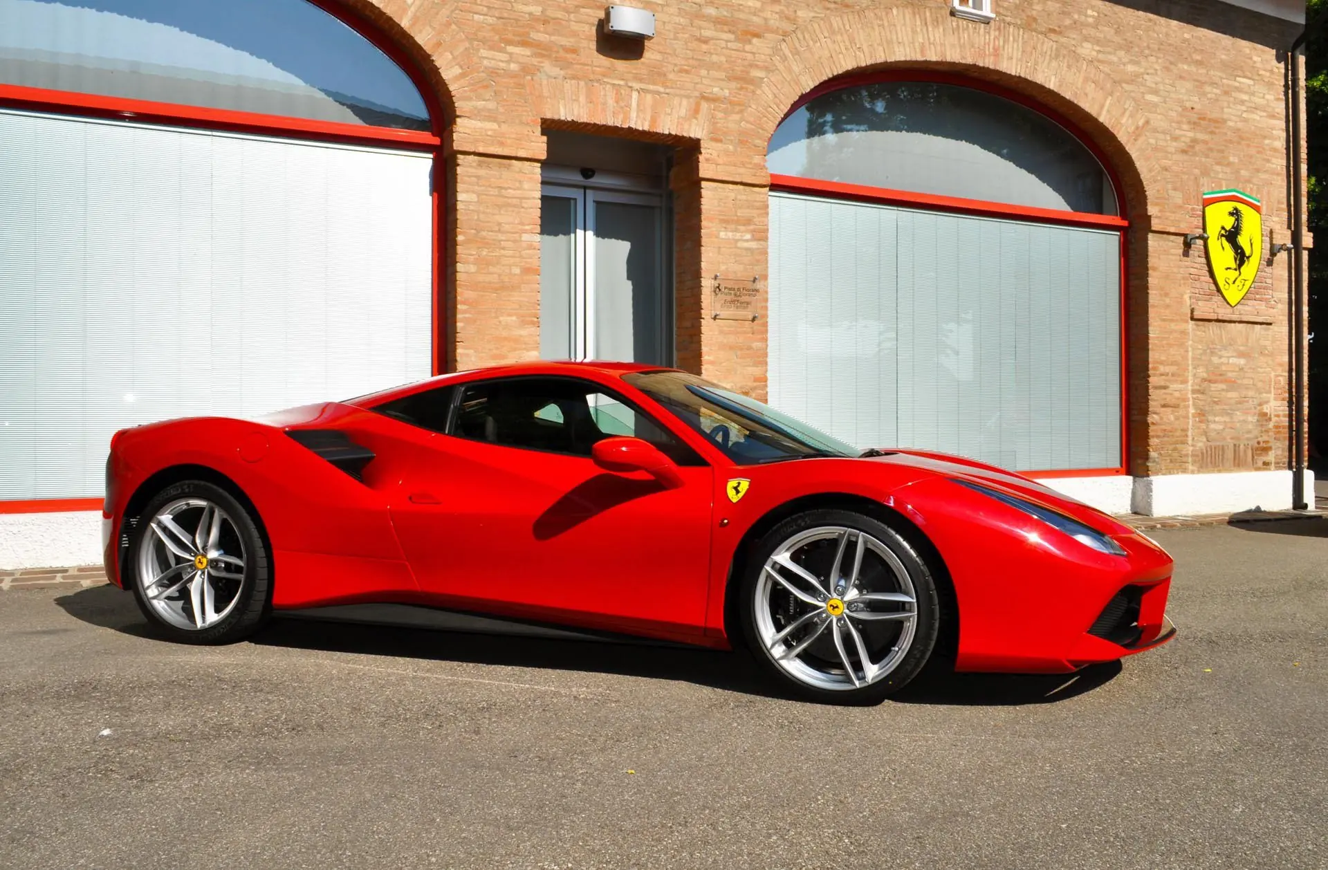 enzo