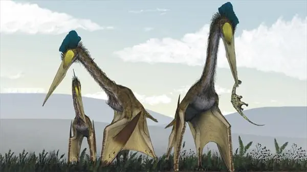 Encuentran fósil de monstruo prehistórico