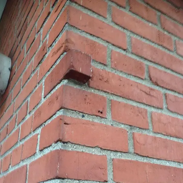 Imágenes WTF y curiosas para tu distracción.