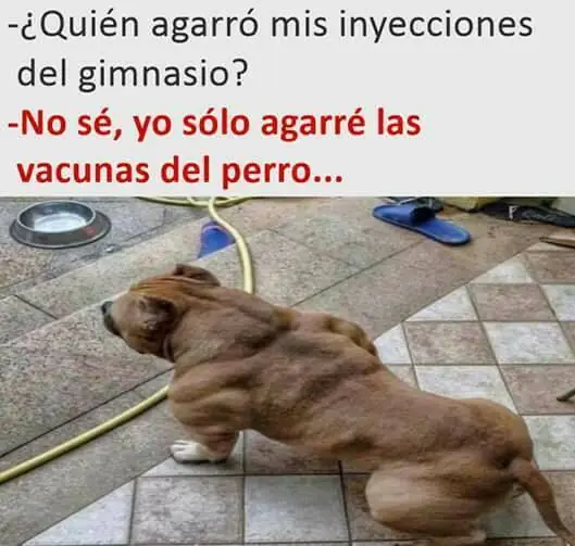 enero