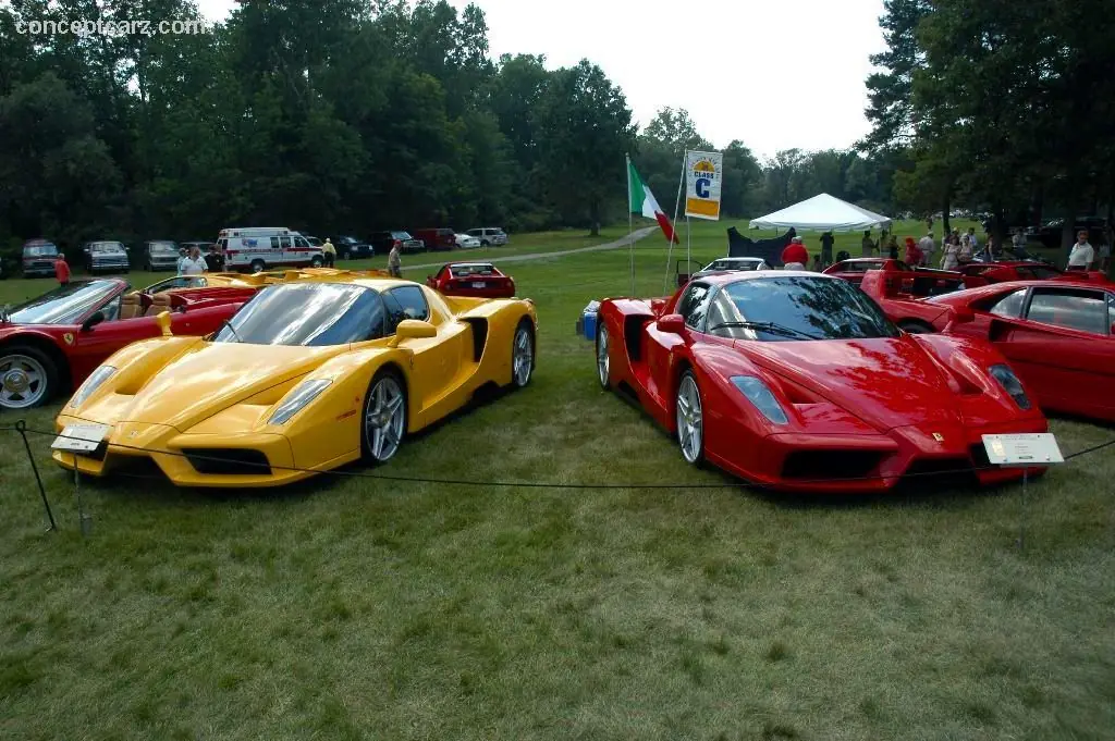 enzo