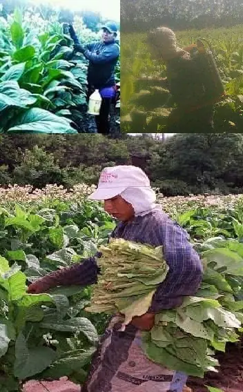 trabajo