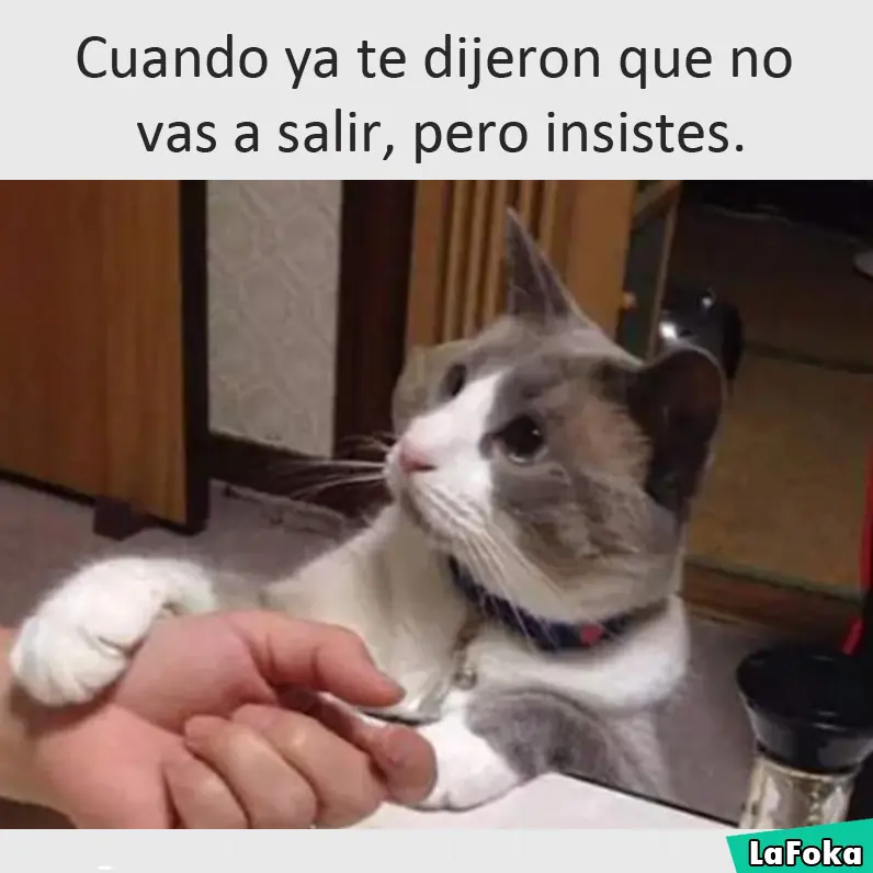 taringa