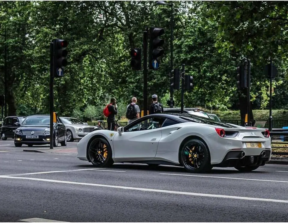 enzo