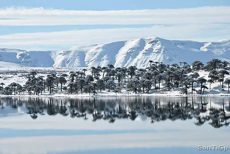 nieve