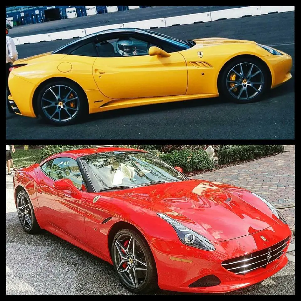 enzo