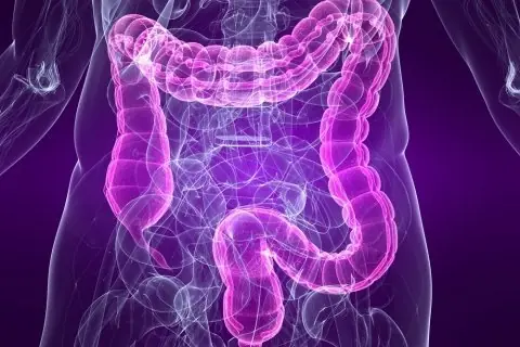 metabolismo metabolismo