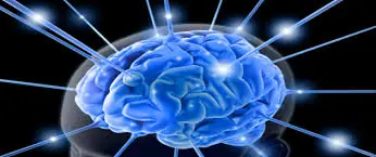 Te ofrezco un bukake de datos curiosos directo a tu cerebro