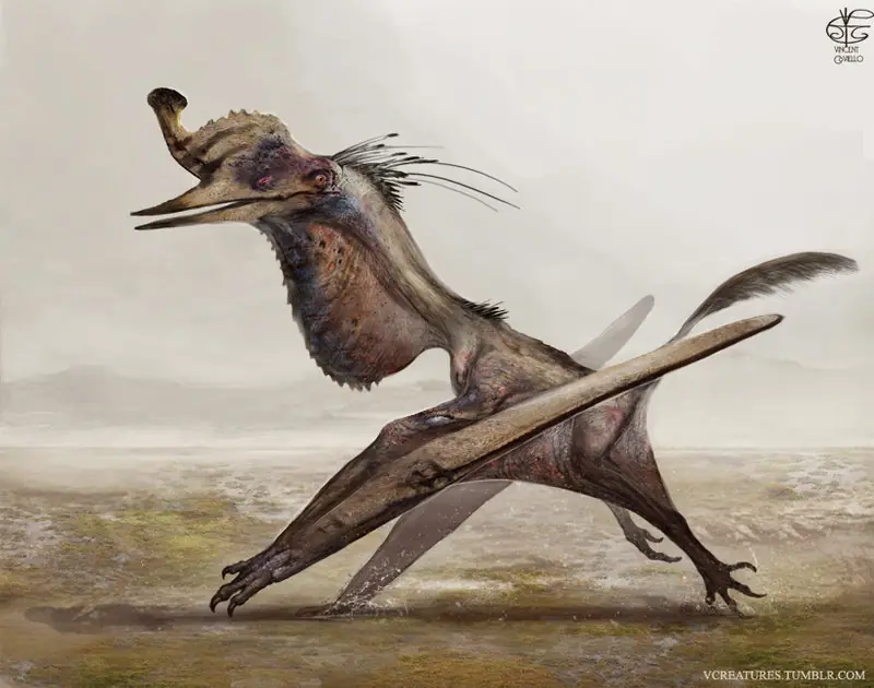 afortunadamente