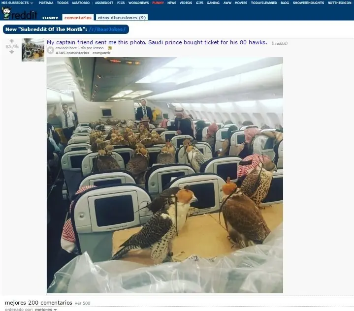 Un príncipe saudí viajó con sus 80 halcones en un avión