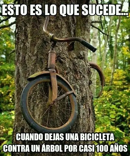 Humor para este Lunes, no amargados (30/01/17)