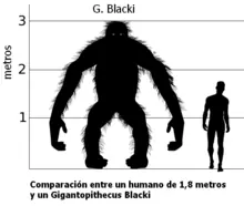 prehistoricos