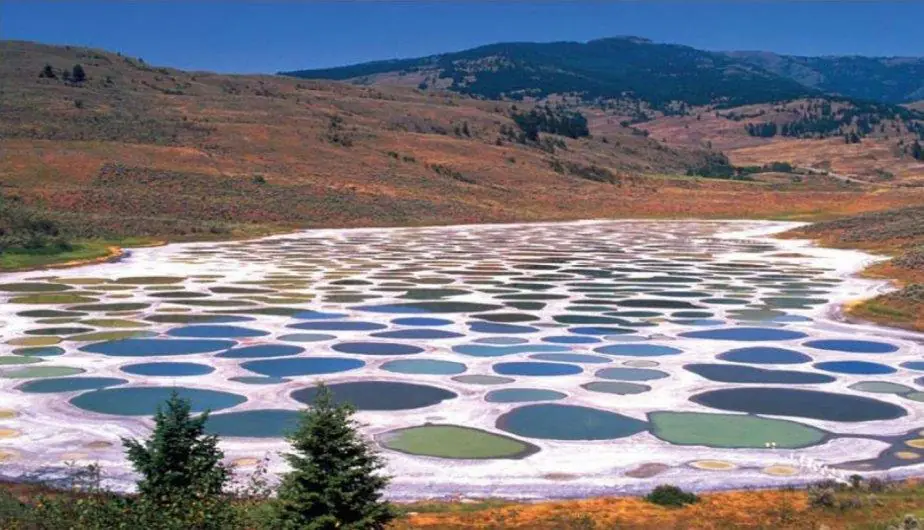 lago