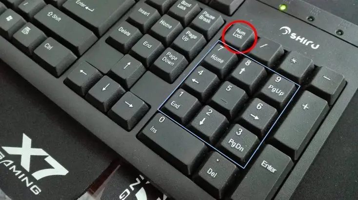 automovil