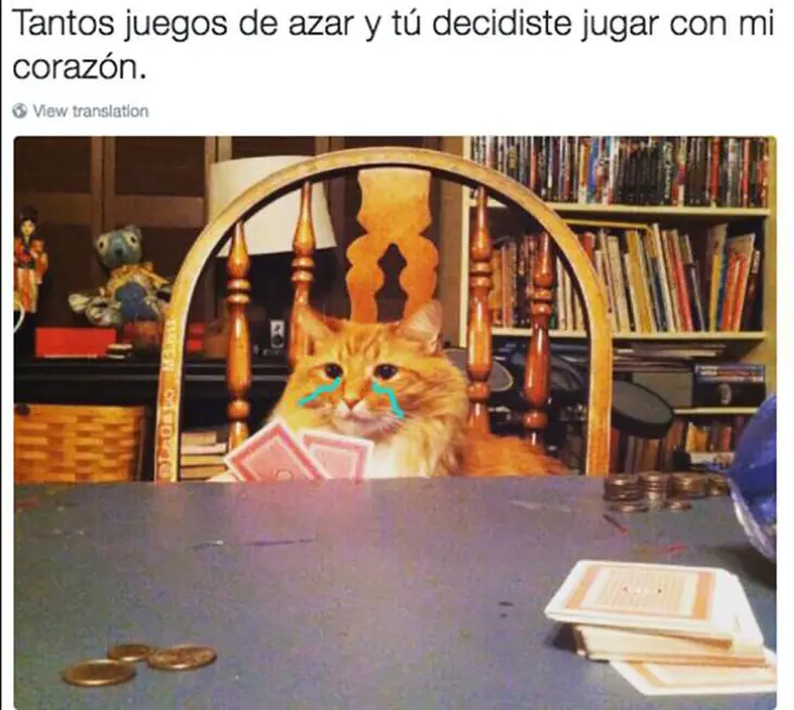 18 memes para superar tus problemas amorosos