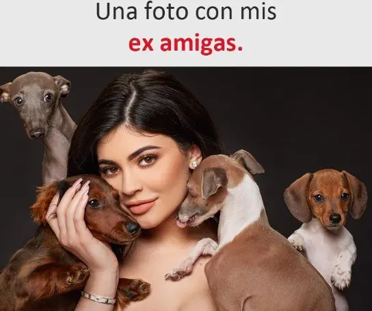 imagenes divertidas