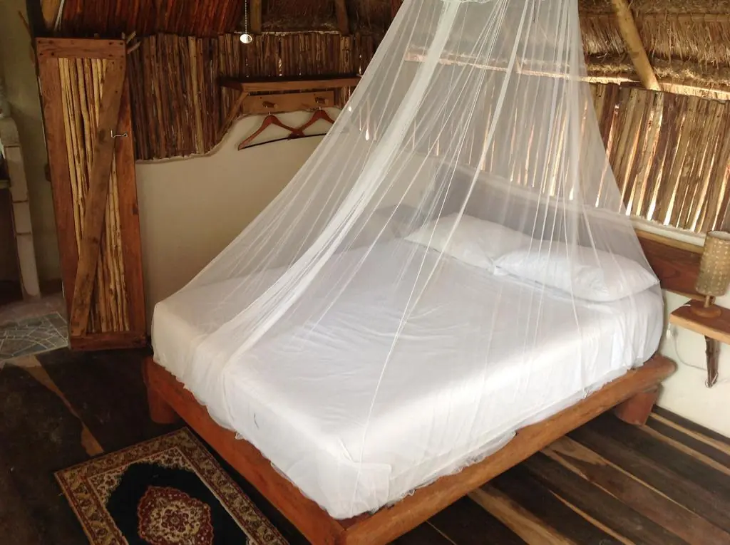 Bacalar