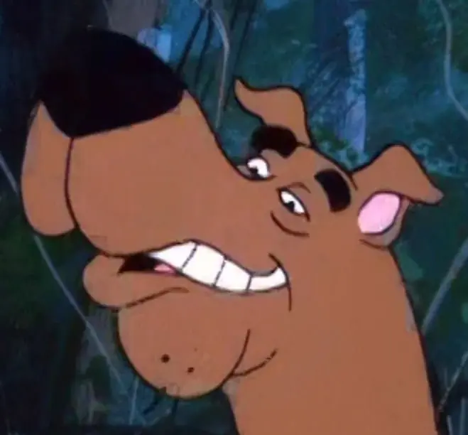 paco