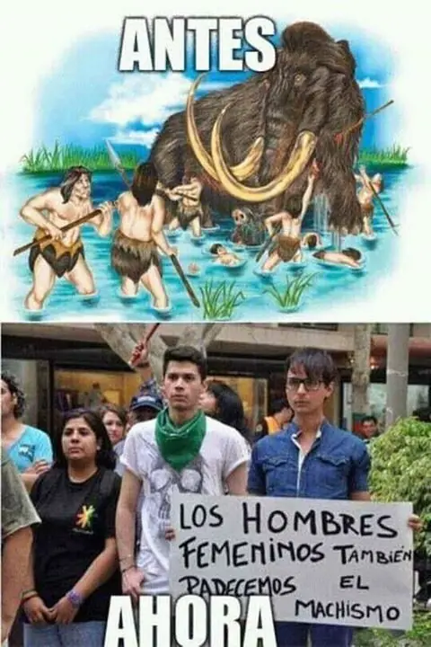 Feministas