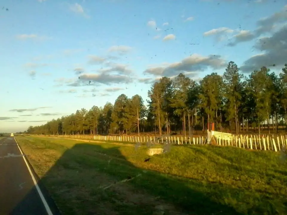 ruta