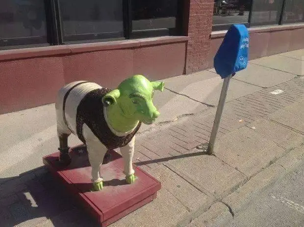 wtf