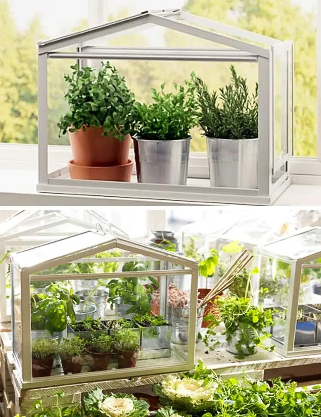 ideas