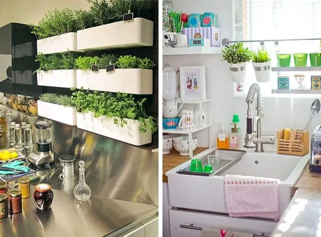 Ideas para quienes sueñan con tener mini huerto en la cocina