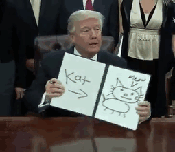 nuevo meme de donald