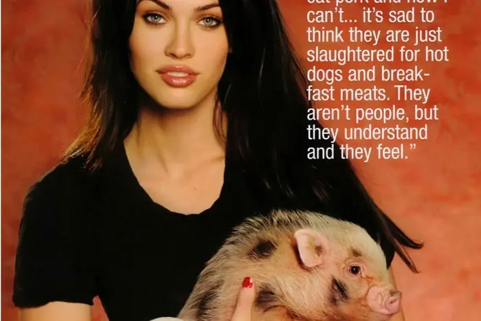 megan fox info megan fox info