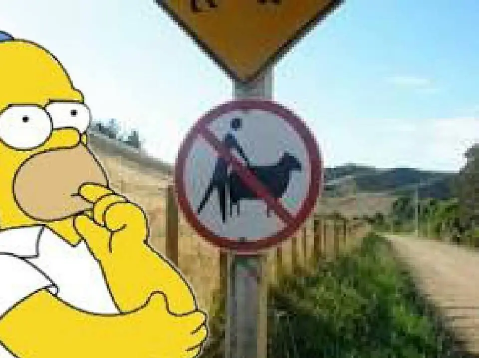 Porteños vs Provincianos (Memes de los simpsons)