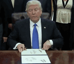 Los memes de Donald Trump mostrando sus órdenes ejecutivas