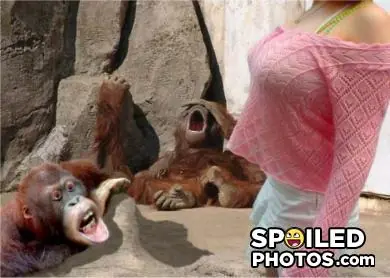 MegaPost De Fails (2)