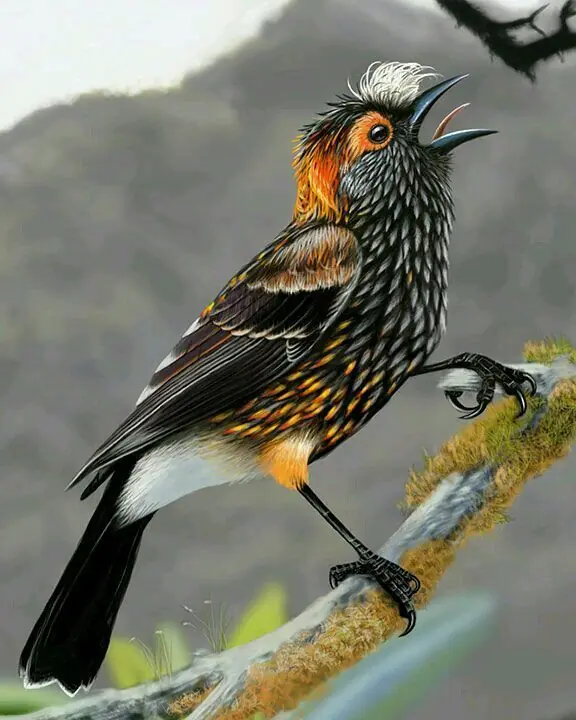 extincion