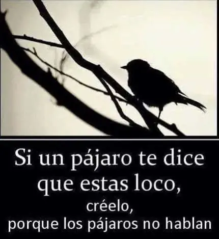 tisa