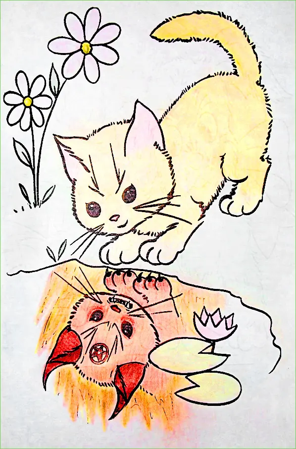 coloreados