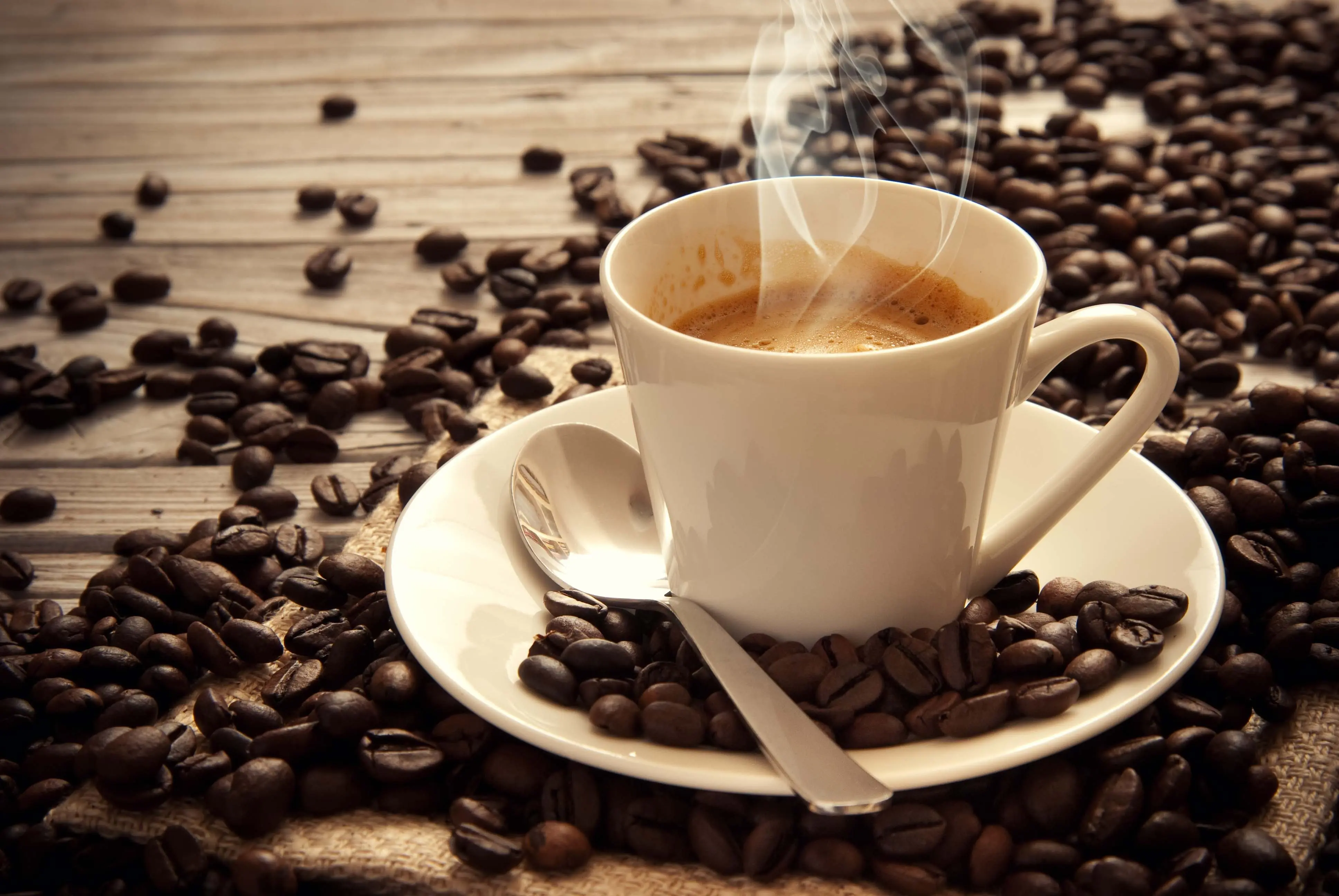 Todo lo que necesitas saber sobre el café