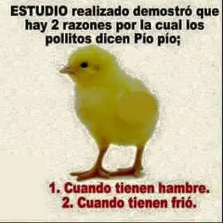 humor para reirse y dé polenta para terminar la semana