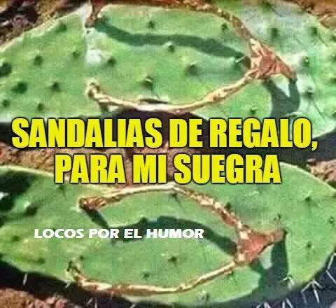 humor para reirse y dé polenta para terminar la semana
