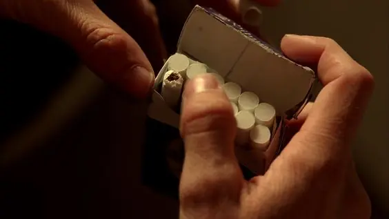 Ciencia en Breaking Bad - Ricina