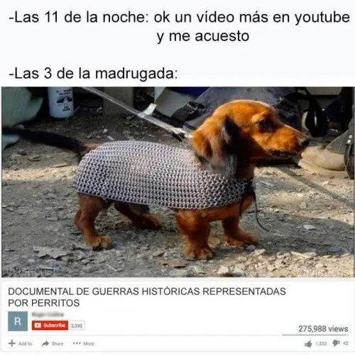 Imagenes divertidas para linces nocturnos 21 +5 si te ries