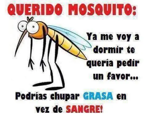 chistoso