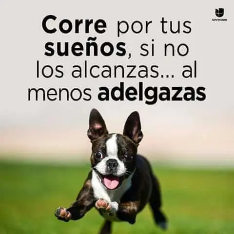 humor para reirse y dé polenta para terminar la semana