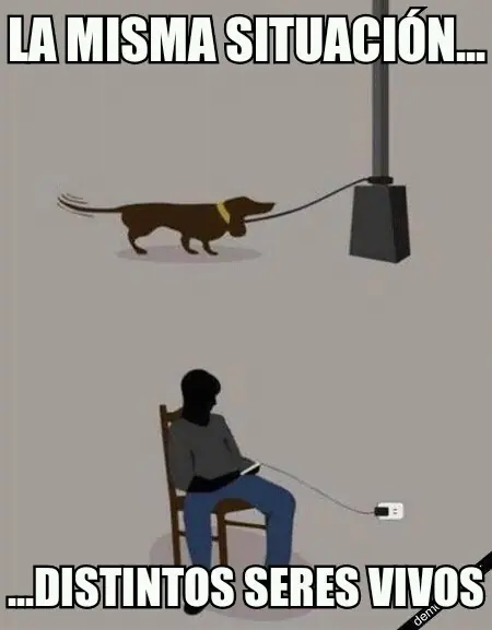 humor