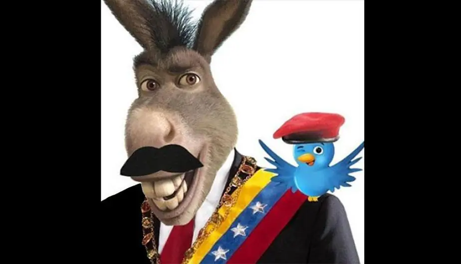 burro