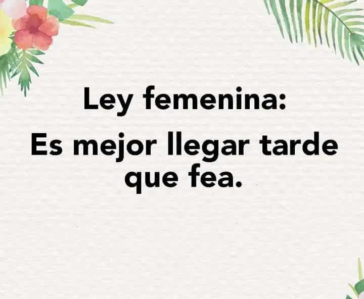 chistoso
