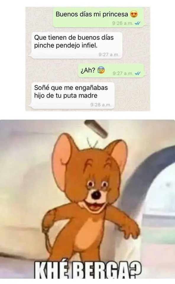 Imagenes divertidas para linces nocturnos 21 +5 si te ries