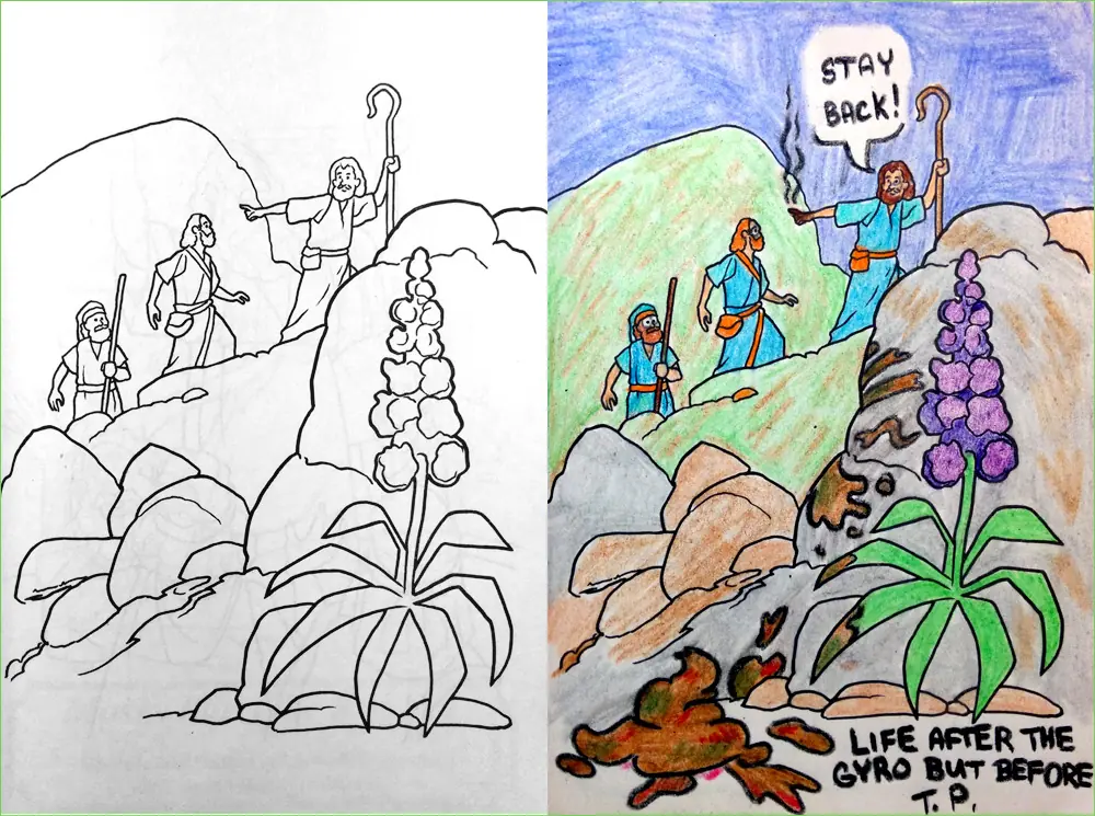 color