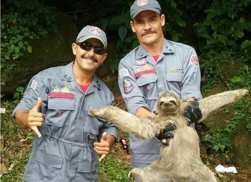 5 Noticias Curiosas de esta semana que tenes que saber.....